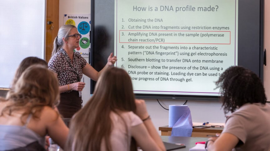 teacher at the whiteboard teaching the class