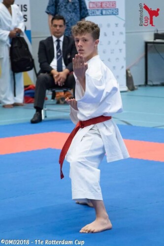 Boy practising Karate photo