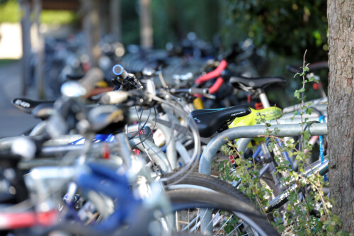 Photo Of Bikes