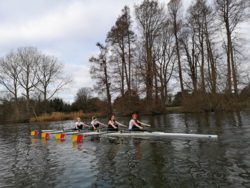 Rose Student Rowing