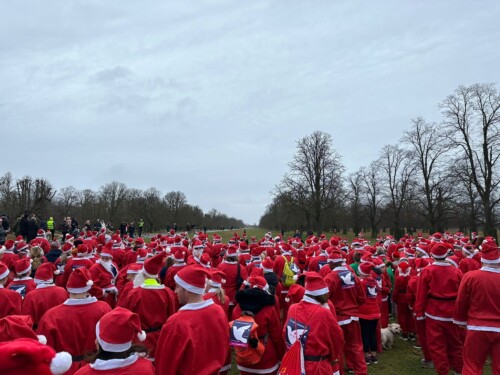 Santas In Bushy