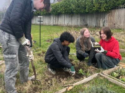 Students planting in college allotments
