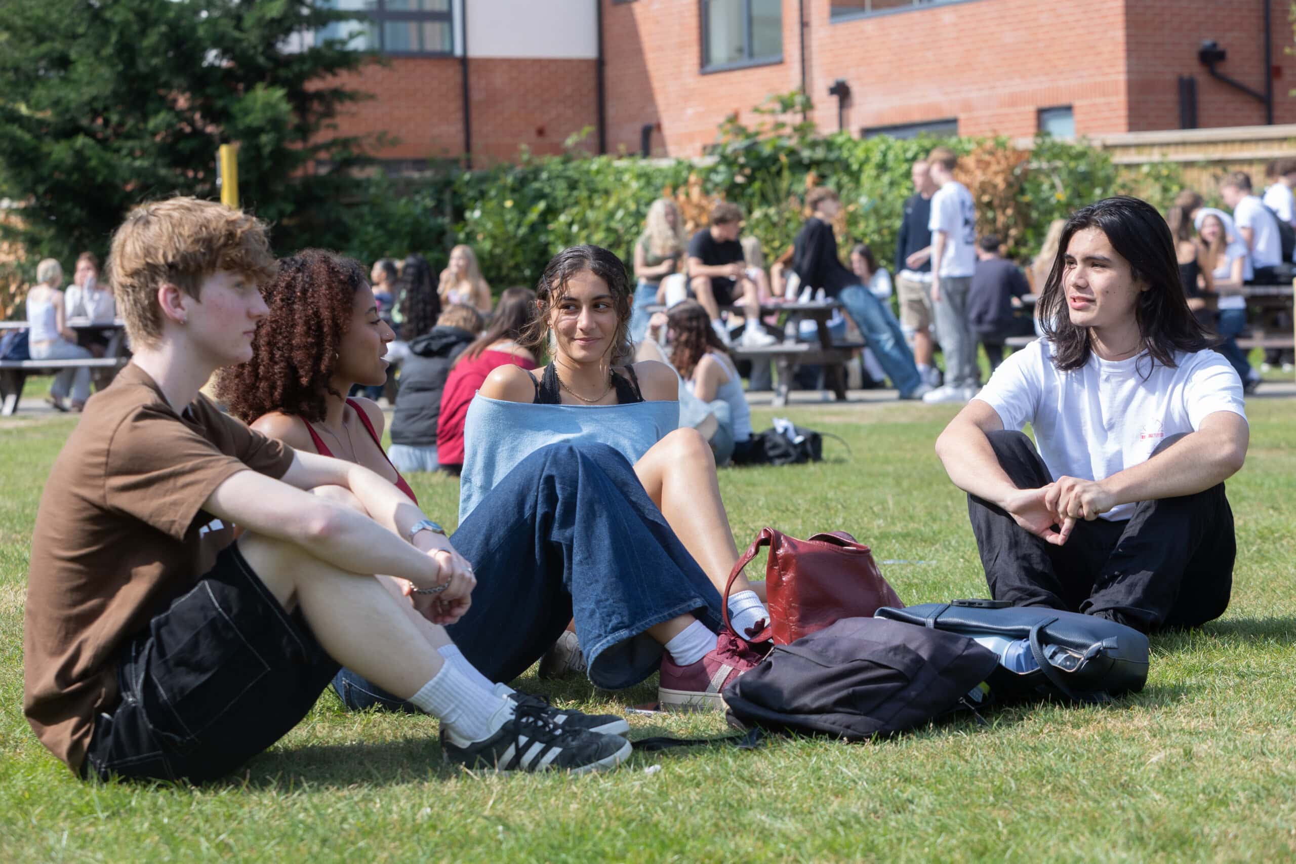a group of students sitting in the sun on the grass