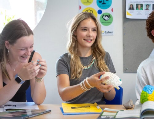 a female student holding a brain model in a psychology class