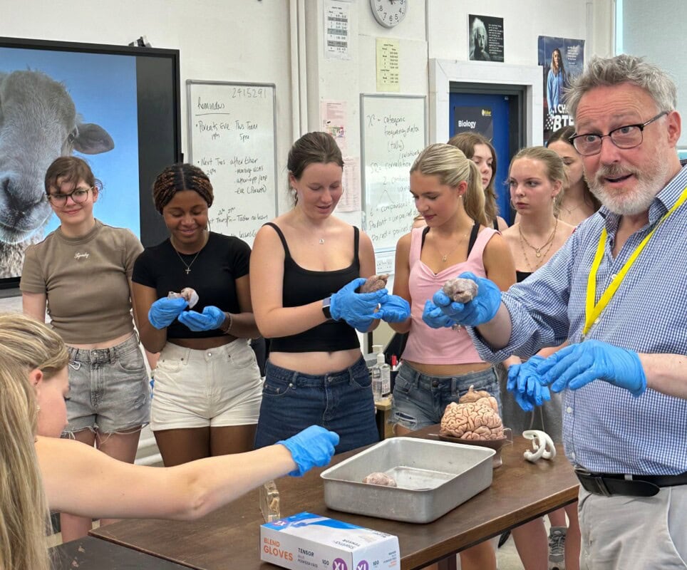 Dr Guy Sutton showing a dissected brain to Students