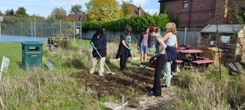 Group In Allotment