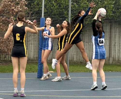 netball player Leaping to catch ball Landscape