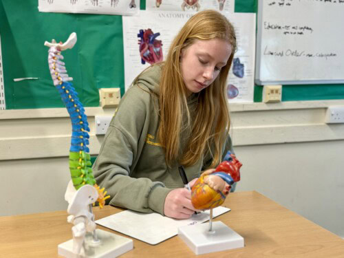Hattie working in a PE classroom