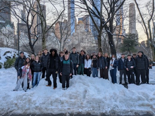 In The Snow Central Park