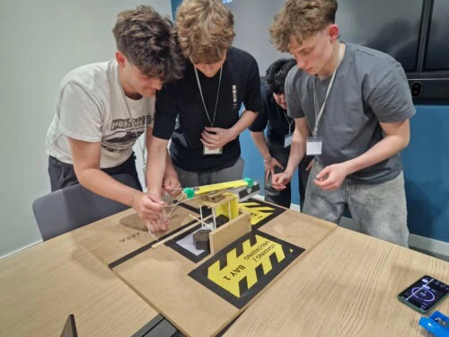 Problem Solving Experiment